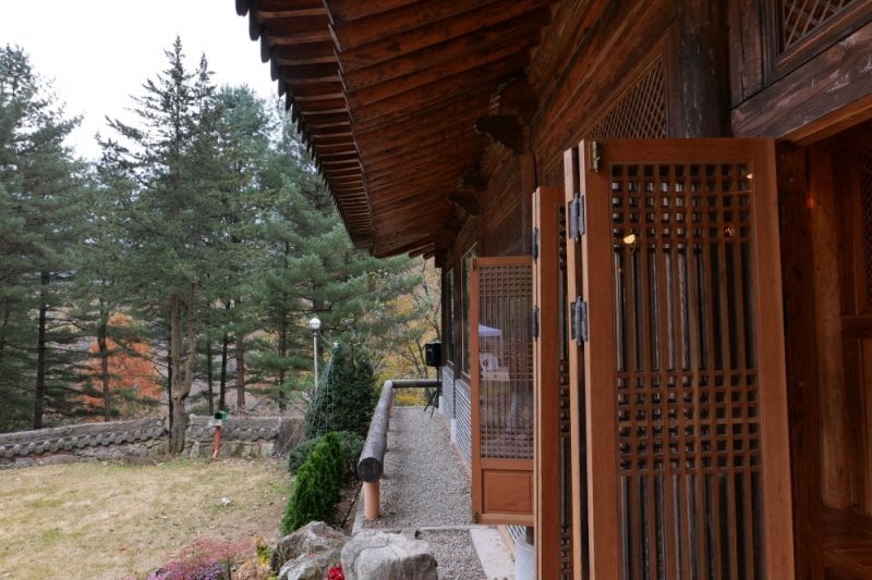 Pinocchio Forest: Gangwon-do (20/23)