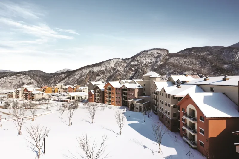 Donggang Cistar: Gangwon-do (3/15)