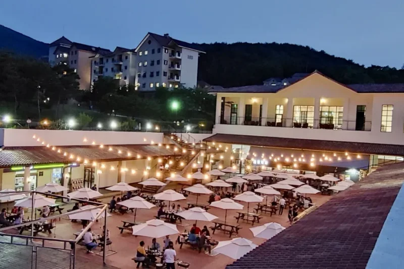 Donggang Cistar: Gangwon-do (11/15)