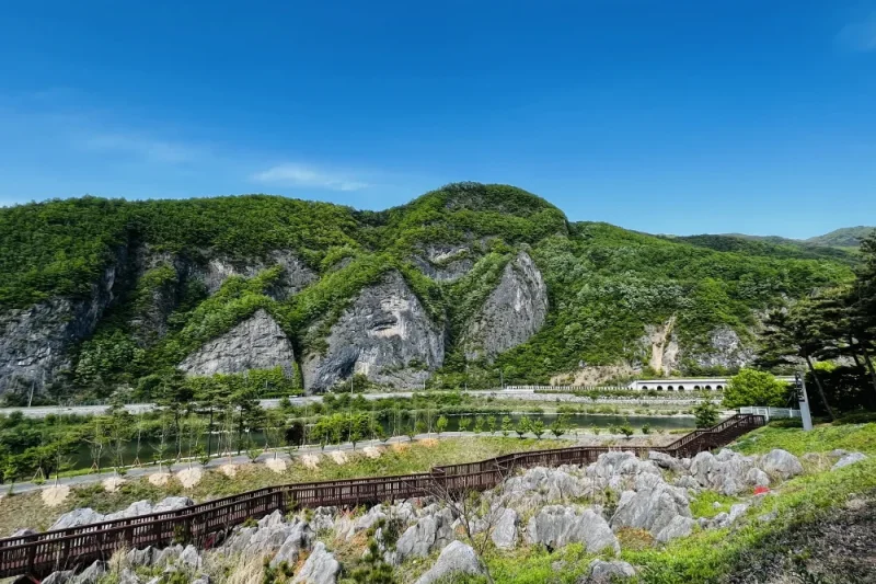 Donggang Cistar: Gangwon-do (13/15)