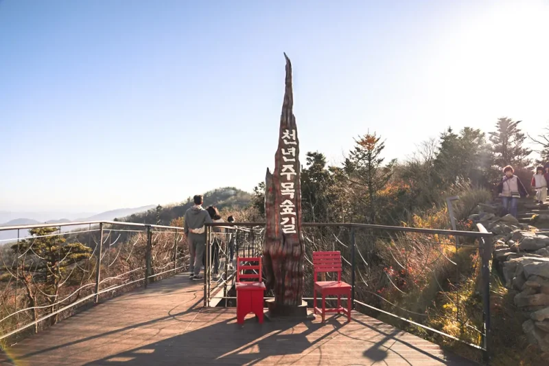 Mona Yongpyong Resort: Gangwon-do (6/7)