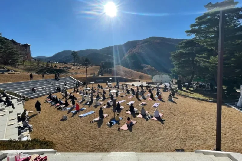 Romy Zian Garden: Gangwon-do (3/9)