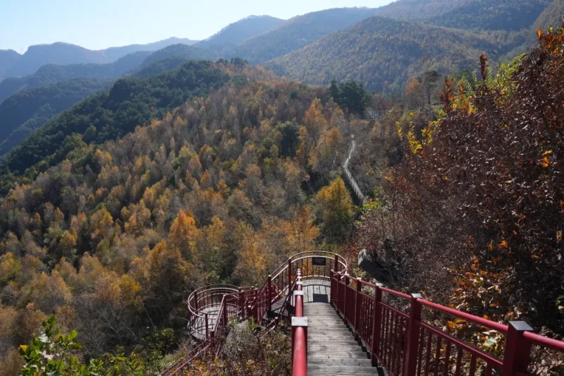 Romy Zian Garden: Gangwon-do (4/9)