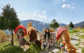 AlpacaWorld Ticket – Korea’s Popular Multi-Animal Park &amp; Performance