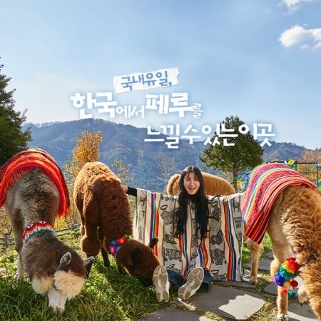 AlpacaWorld Ticket – Korea’s Popular Multi-Animal Park & Performance