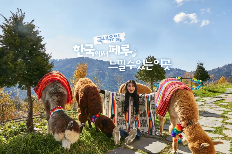 AlpacaWorld Ticket – Korea’s Popular Multi-Animal Park &amp; Performance (1/36)