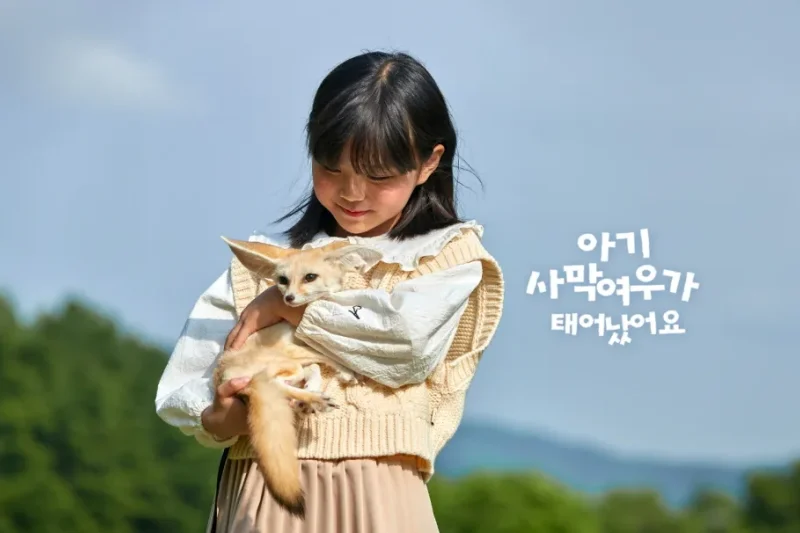 AlpacaWorld Ticket – Korea’s Popular Multi-Animal Park &amp; Performance (2/36)