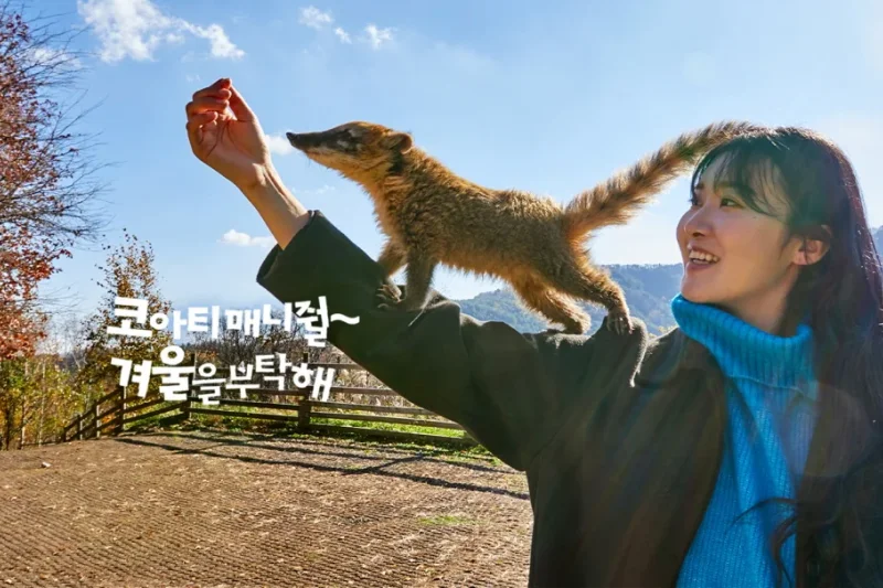 AlpacaWorld Ticket – Korea’s Popular Multi-Animal Park &amp; Performance (5/36)