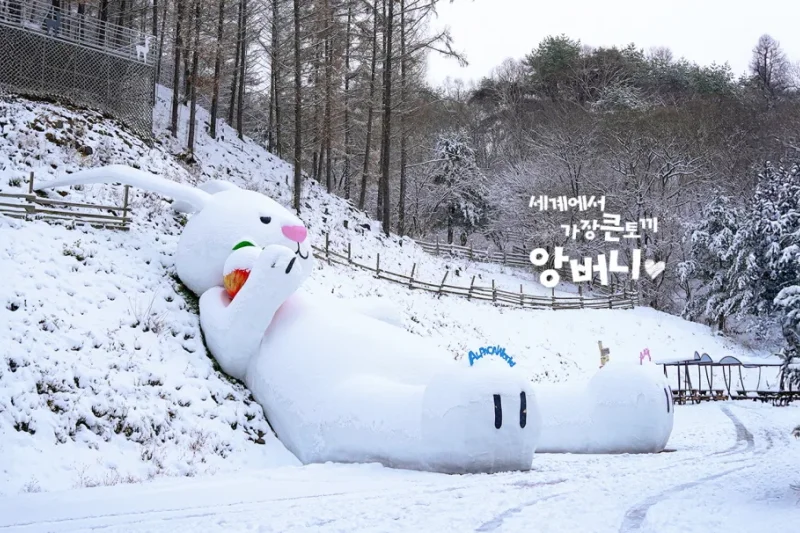 AlpacaWorld Ticket – Korea’s Popular Multi-Animal Park &amp; Performance (8/36)