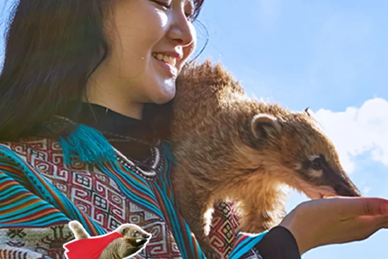AlpacaWorld Ticket – Korea’s Popular Multi-Animal Park &amp; Performance (9/36)