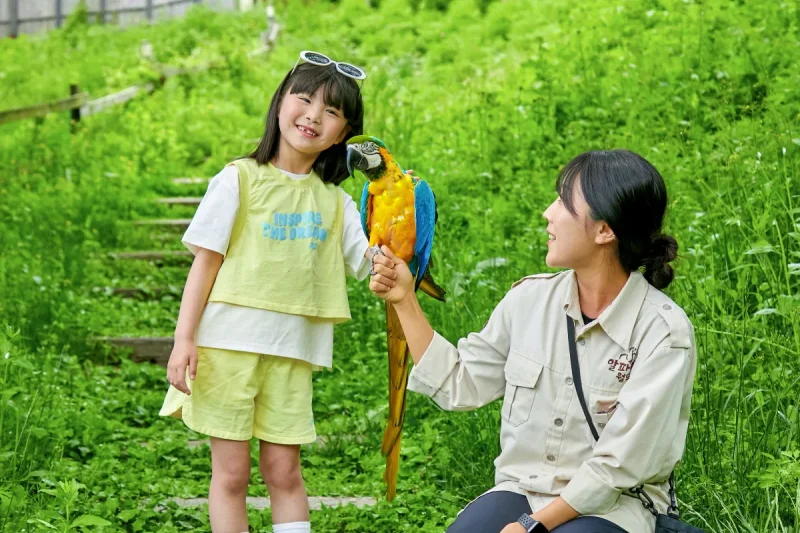 AlpacaWorld Ticket – Korea’s Popular Multi-Animal Park &amp; Performance (11/36)