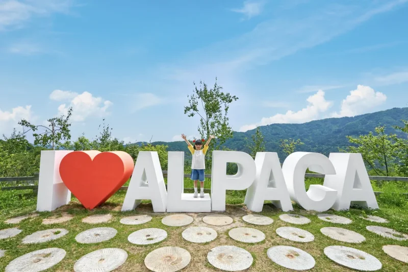 AlpacaWorld Ticket – Korea’s Popular Multi-Animal Park &amp; Performance (12/36)