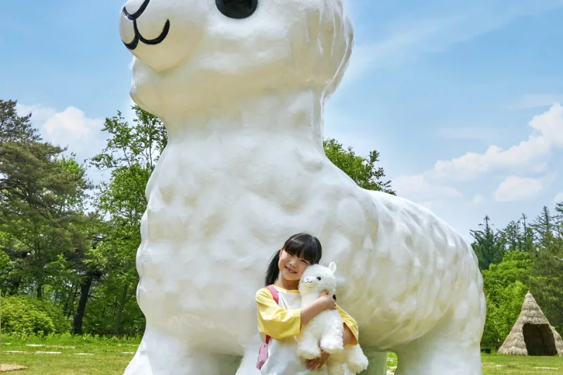 AlpacaWorld Ticket – Korea’s Popular Multi-Animal Park &amp; Performance (15/36)