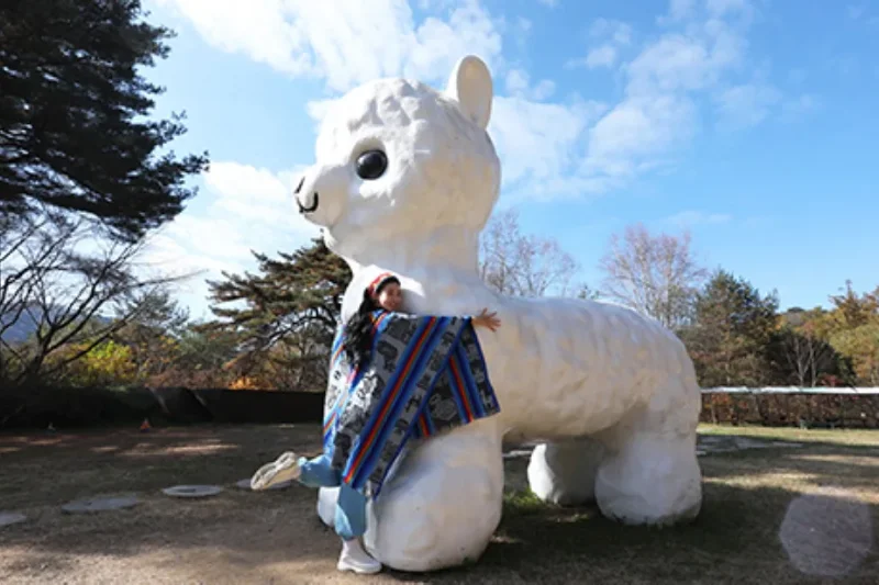 AlpacaWorld Ticket – Korea’s Popular Multi-Animal Park &amp; Performance (17/36)