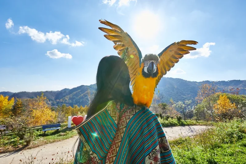 AlpacaWorld Ticket – Korea’s Popular Multi-Animal Park &amp; Performance (18/36)