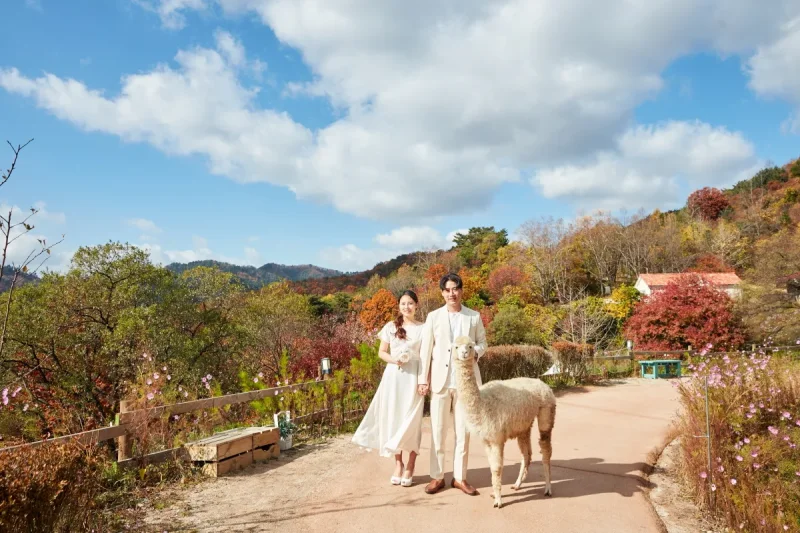 AlpacaWorld Ticket – Korea’s Popular Multi-Animal Park &amp; Performance (19/36)