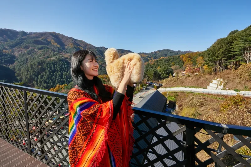AlpacaWorld Ticket – Korea’s Popular Multi-Animal Park &amp; Performance (20/36)