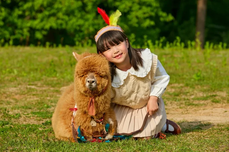 AlpacaWorld Ticket – Korea’s Popular Multi-Animal Park &amp; Performance (21/36)