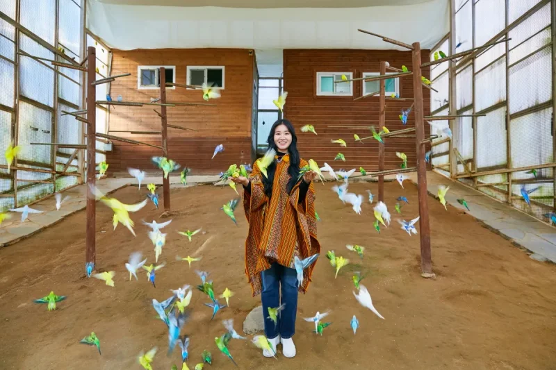 AlpacaWorld Ticket – Korea’s Popular Multi-Animal Park &amp; Performance (22/36)