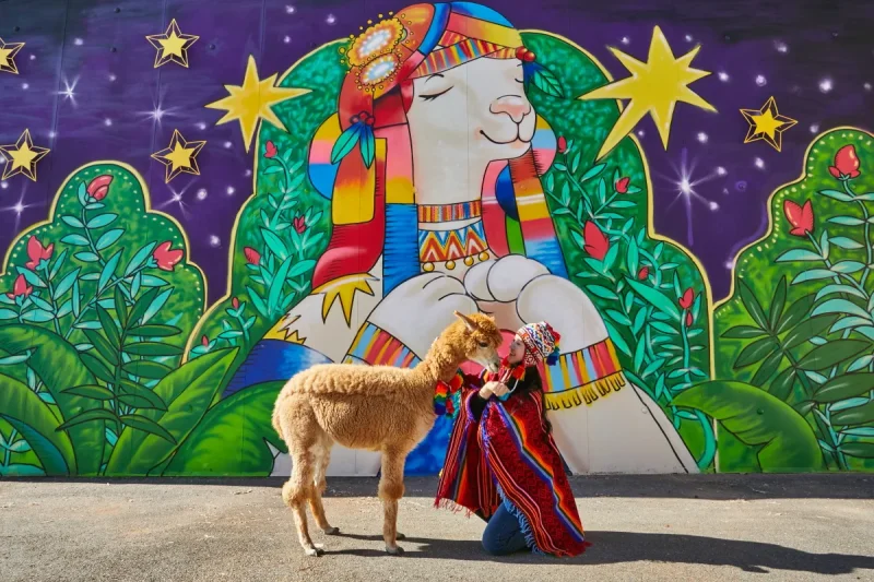 AlpacaWorld Ticket – Korea’s Popular Multi-Animal Park &amp; Performance (23/36)
