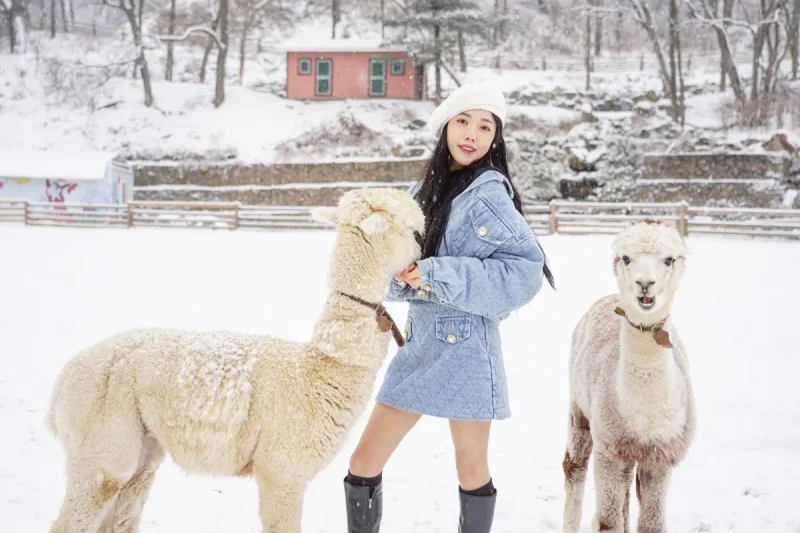 AlpacaWorld Ticket – Korea’s Popular Multi-Animal Park &amp; Performance (25/36)