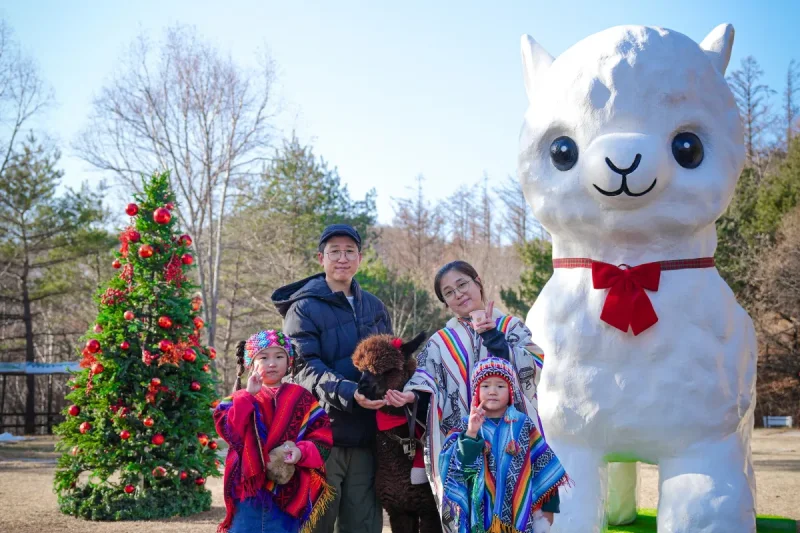 AlpacaWorld Ticket – Korea’s Popular Multi-Animal Park &amp; Performance (28/36)
