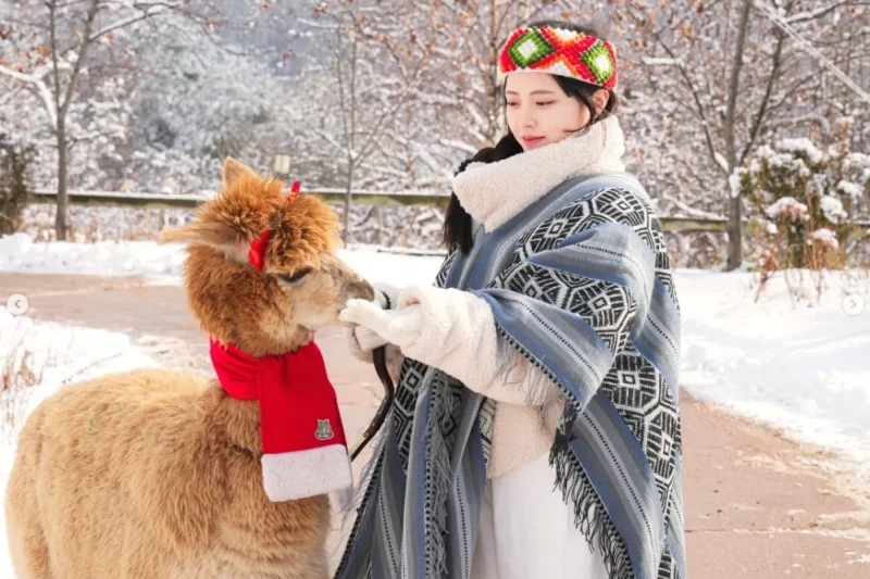 AlpacaWorld Ticket – Korea’s Popular Multi-Animal Park &amp; Performance (36/36)