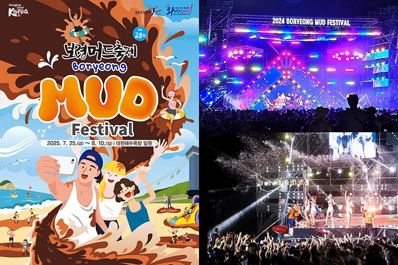 【Instant confirmation】Boryeong Mud Festival 2025, K-pop Concert Ticket + Shuttle Bus Package  (3/8)