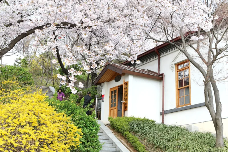 Incheon Airport to Seoul Shuttle Bus Tour including Lotte World, Seoul Sky, and 1883 Incheon Global Stamp Tour (22/24)