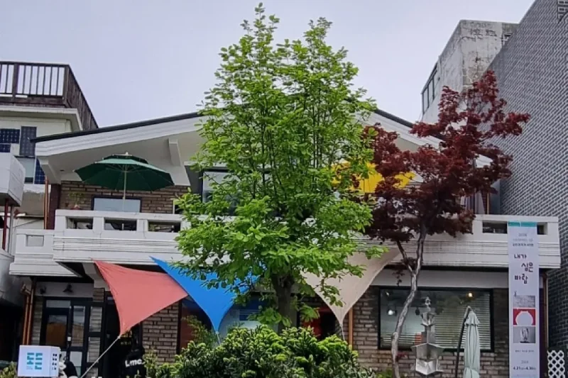 DODEUN ART HOUSE(Gallery Cafe) (29/35)