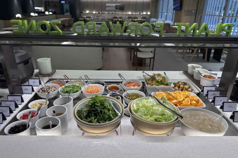 Pulmuone Sky Hub Lounge - Incheon Airport Branch (5/33)