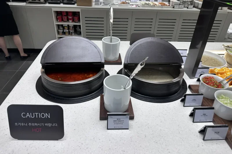 Pulmuone Sky Hub Lounge - Incheon Airport Branch (6/33)