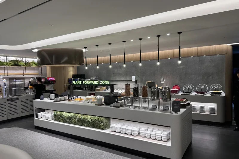 Pulmuone Sky Hub Lounge - Incheon Airport Branch (9/33)