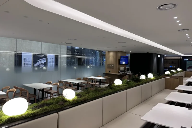 Pulmuone Sky Hub Lounge - Incheon Airport Branch (16/33)