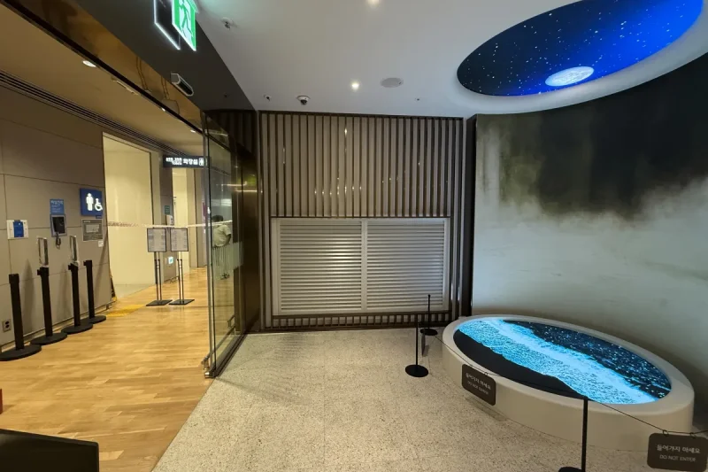 Pulmuone Sky Hub Lounge - Incheon Airport Branch (22/33)