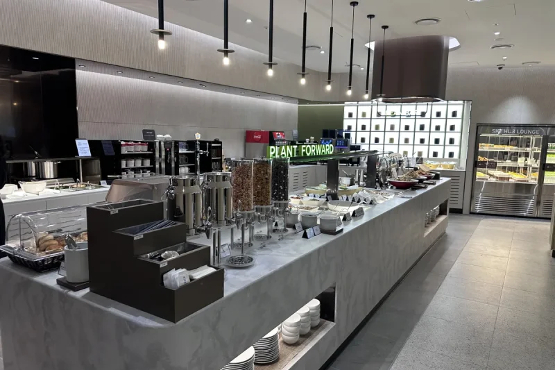 Pulmuone Sky Hub Lounge - Incheon Airport Branch (28/33)