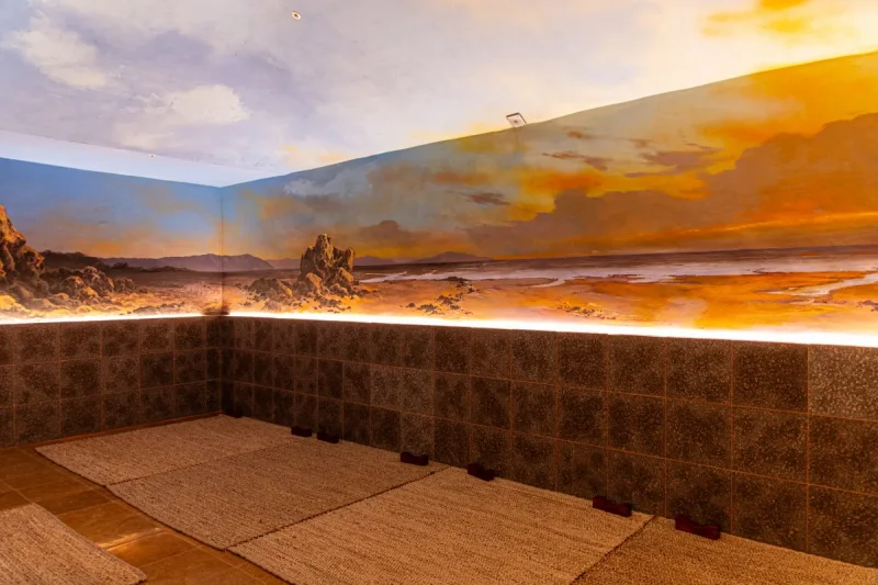 Incheon Jotang (The Premium Wellness Spa) (24/29)