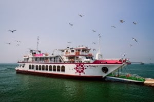 Incheon Wolmido Performance Cruise Ticket – Live Show & Seagull Feeding Experience