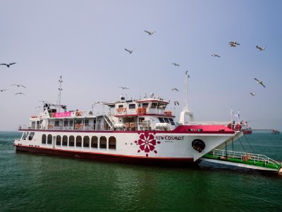 Incheon Wolmido Performance Cruise Ticket – Live Show & Seagull Feeding Experience
