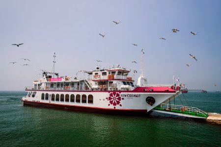 Incheon Wolmido Performance Cruise Ticket – Live Show & Seagull Feeding Experience