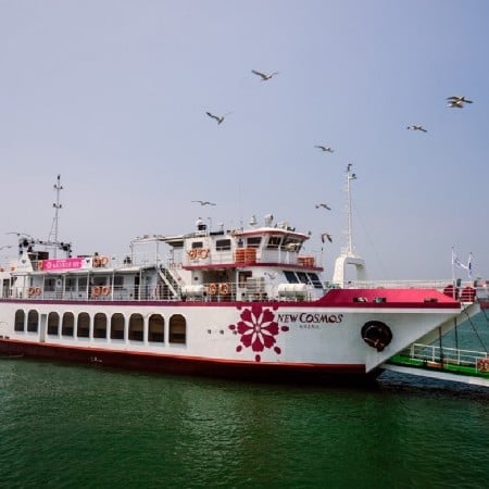 Incheon Wolmido Performance Cruise Ticket – Live Show & Seagull Feeding Experience