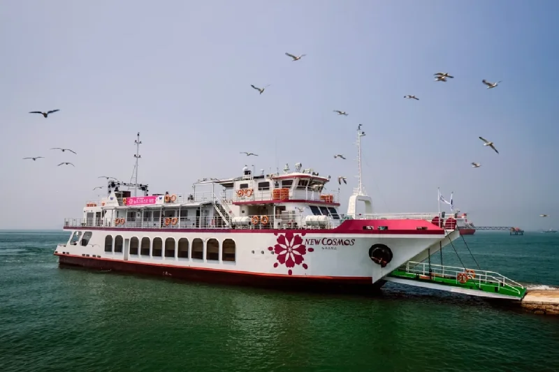 Wolmido Cruise (5/19)