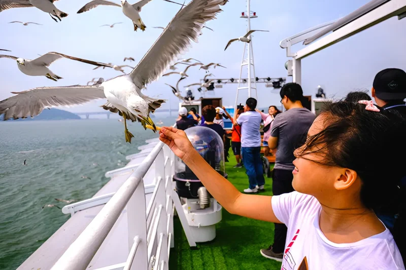 Wolmido Cruise (18/19)