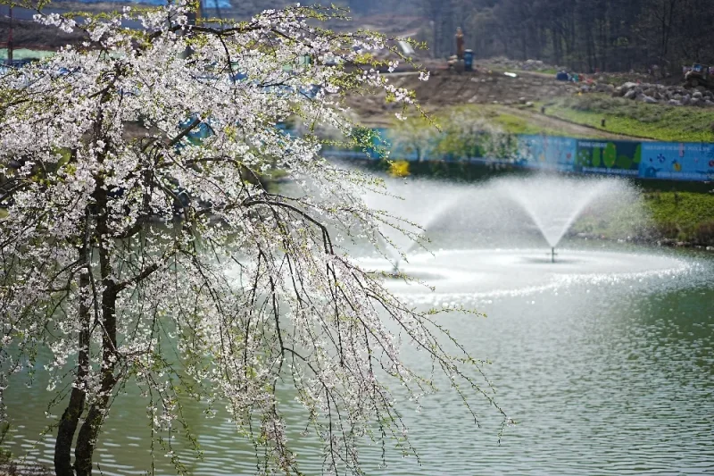 Ganghwa Luge (Ganghwa Seaside Resort) Exclusive Discount Coupon (4/34)