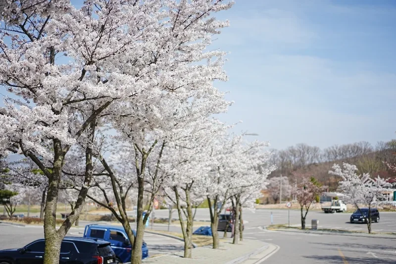 Ganghwa Luge (Ganghwa Seaside Resort) Exclusive Discount Coupon (5/34)