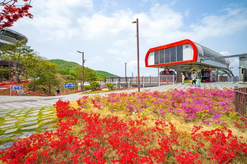 Ganghwa Luge (Ganghwa Seaside Resort) Exclusive Discount Coupon (13/34)