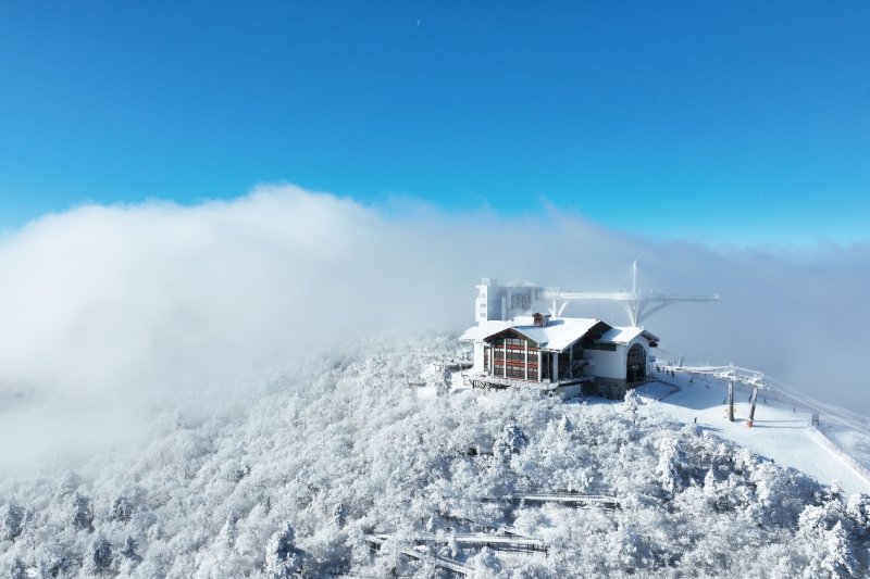 Mona Yongpyong Ski Resort (1/4)