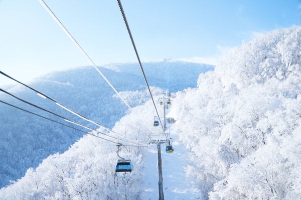 Alpensia Ski Resort