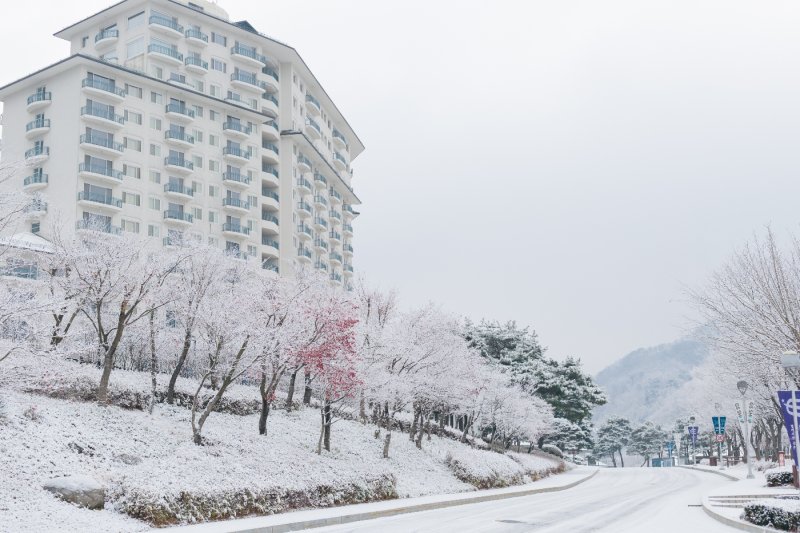ELYSIAN GANGCHON SKI RESORT (5/25)