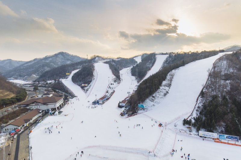 ELYSIAN GANGCHON SKI RESORT (6/25)